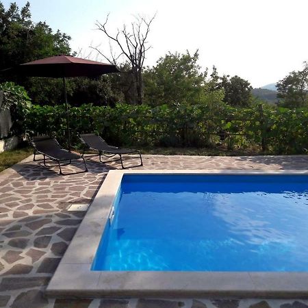 Apartment Nada With Private Pool Бузет Екстер'єр фото